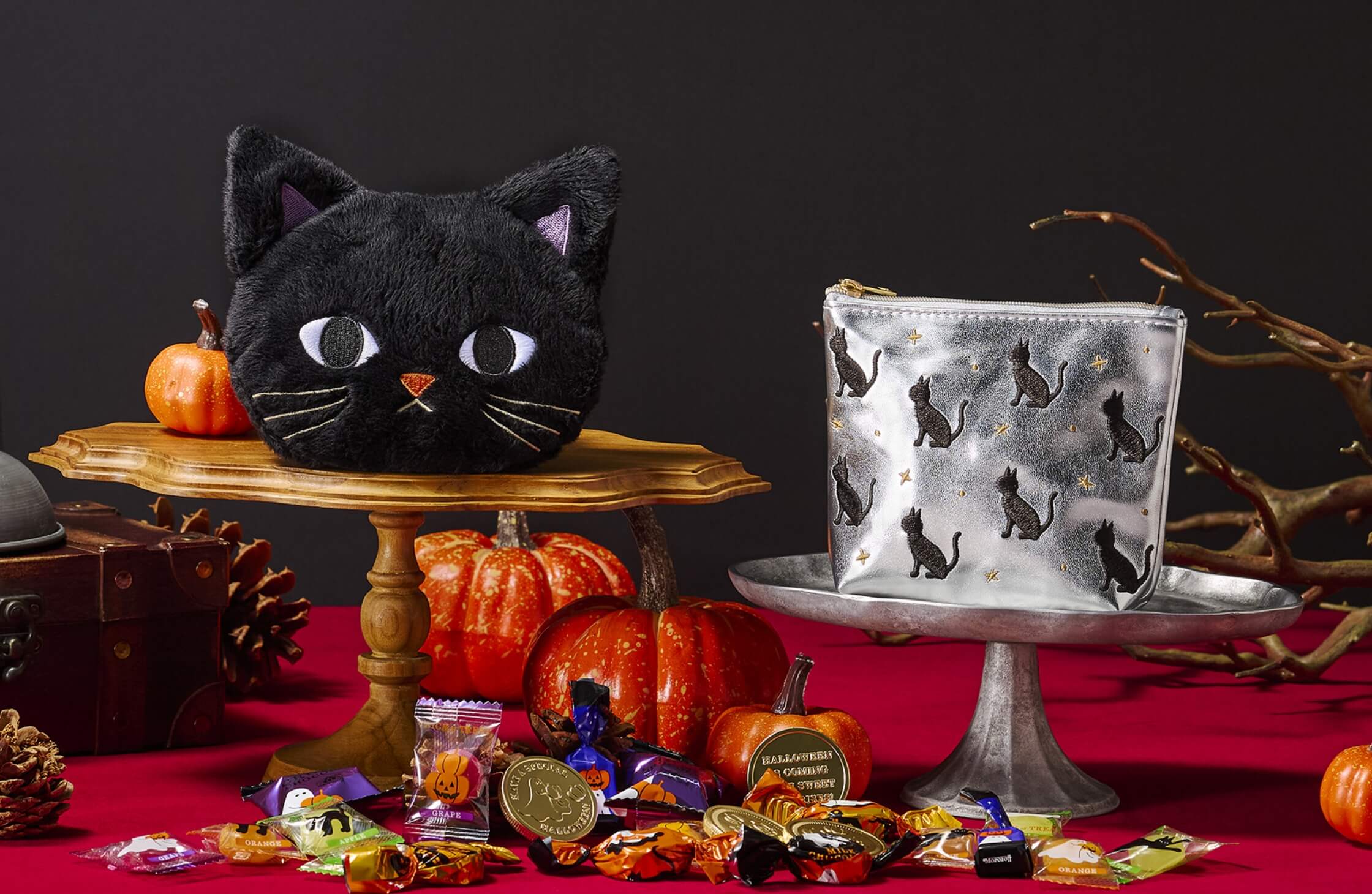 ポーチ メインビジュアル