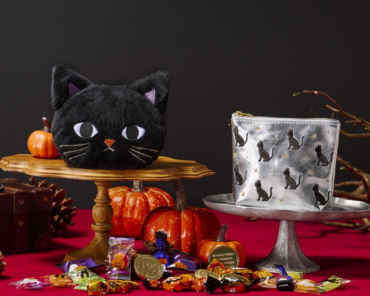 ポーチ メインビジュアル