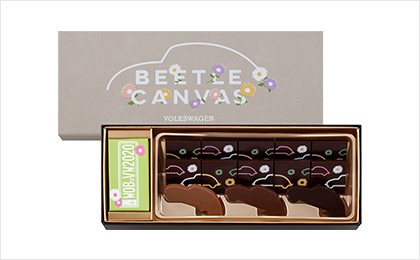 ビートルキャンバス 13個入