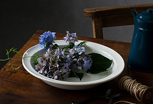 水に浮かべる涼しげな紫陽花アレンジ