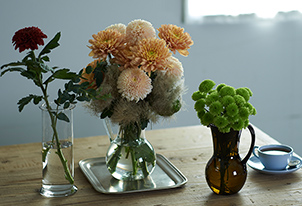 色もかたちも多種多様。大人可愛い菊（マム）を飾る