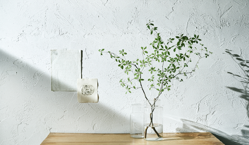 暑い季節に植物を飾るときのポイント