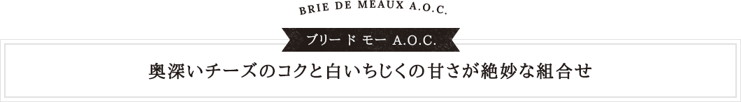ブリー ド モー A.O.C. 奥深いチーズのコクと白いちじくの甘さが絶妙な組合せ