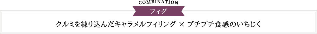 COMBINATION フィグ | クルミを練り込んだキャラメルフィリングxプチプチ食感のいちじく