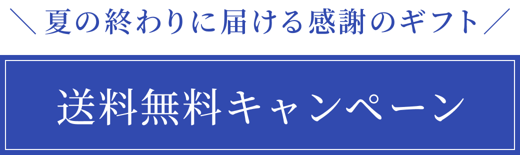 送料無料キャンペーン