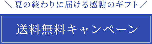 送料無料キャンペーン