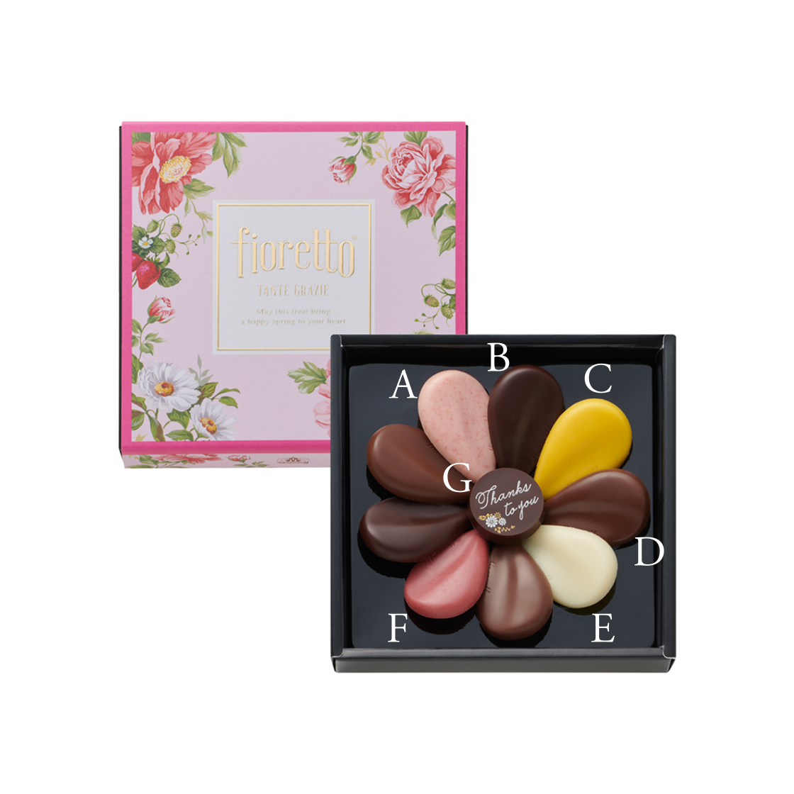 フィオレット10個入