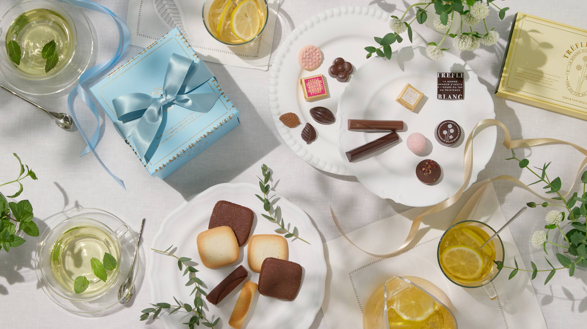 トレフルブラン_イメージ画像